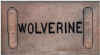 Mich.WolverineWbars.jpg (14556 bytes)